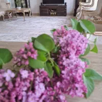 آپارتمان مسکن مهر در نمین