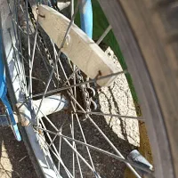 دوچرخه 20|دوچرخه، اسکیت، اسکوتر|گل تپه, |دیوار