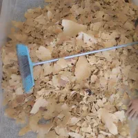 نان خشک درجه یک بک