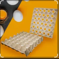 استخدام اقا