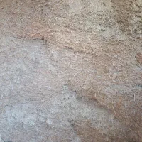 سلام  کاه گندم درسرپل ذهاب توی انبار شفته  کیلو ی|حیوانات مزرعه|قلعه شاهین, |دیوار