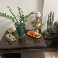 مبلمان و گلمیز|مبلمان خانگی و میز عسلی|شیراز, زرهی|دیوار