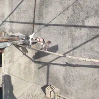 فروش ی جفت کبوتر