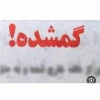 سوئیچ و ریموت ماشین گم شده