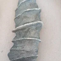 معاوضه با انگشتر و...