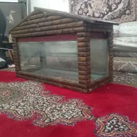 اکواریوم|ماهی|کرمانشاه, |دیوار