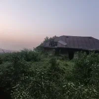 زمین شیرگاه برنجستانک بشل چاکسرفرامرزکلاه اندرگلی|فروش زمین و ملک کلنگی|شیرگاه, |دیوار