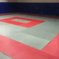 تشک جودو دو تخته