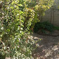 نظافتچی خانم
