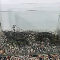 آکواریوم همراه با لوازم و ماهی