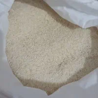 برنج هاشمی محلی دره‌رود