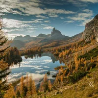 نیروی خدماتی خانم شبانه روزی