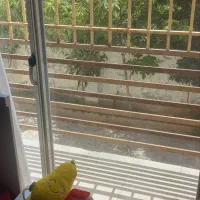 بنا 83متری دریای 45 آریج داخلی شیک|فروش آپارتمان|آمل, |دیوار