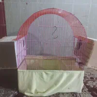قفس عروس هلندی