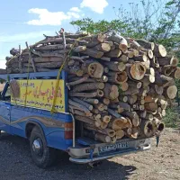 برش و خرید چوب