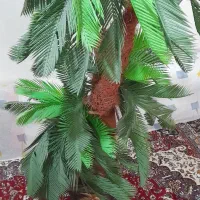 درخت نخل (مصنوعی)