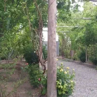 فروش زمین ۵۰۰ متری|فروش زمین و ملک کلنگی|باقرشهر, |دیوار