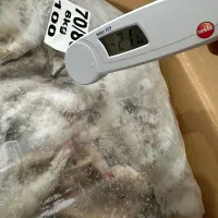 میگو درجه یک|خوردنی و آشامیدنی|شاهین‌شهر, فردوسی|دیوار