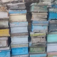 صندوق کندو و طبق زنبور