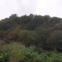 اجاره روزانه/هفتگی/ماهانه ویلا ۱۱۰ متری|اجارهٔ کوتاه‌مدت ویلا و باغ|لاهیجان, لیل|دیوار