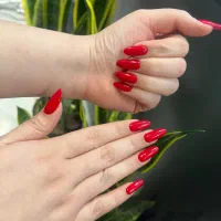 استخدام و اجاره لاین در سالن آرایشگاه VIP|استخدام درمانی، زیبایی، بهداشتی|شیراز, فرهنگ شهر|دیوار