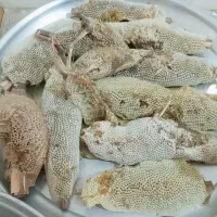 عسل درجه یک خوزستان|خوردنی و آشامیدنی|تهران, تهرانپارس جنوبی|دیوار
