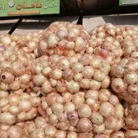 پیاز