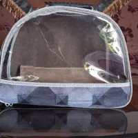 کیف عروس هلندی