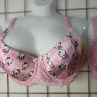 لباس زیر زنانه از ۲۵۰ تا ۳۵۰|لباس|کردکوی, |دیوار