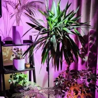 چراغ رشد گیاه مگنتی لایت میژن مدل sunrise 30 watt