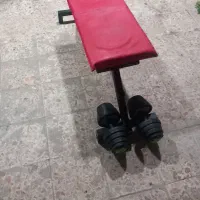 پرورش اندام