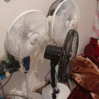 پنکه ایستاده