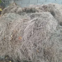 یونجه امسال|لوازم جانبی حیوانات|مرند, |دیوار