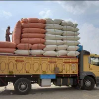 فروش و ارسال کاه گندم دیم کلش گندم دیم|لوازم جانبی حیوانات|خمینیشهر, |دیوار