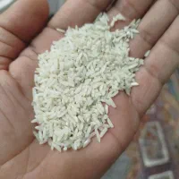 برنج هاشمی اصل درجه یک|خوردنی و آشامیدنی|میاندوآب, |دیوار