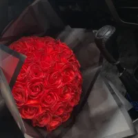 شاخه ای ۲۵ تا ولنتاین