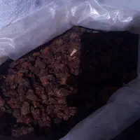 کشمش‌ ومویز|خوردنی و آشامیدنی|کاشان, بازار کاشان|دیوار
