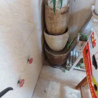 گلدان سفالی|گل و گیاه طبیعی|تهران, اسکندری|دیوار