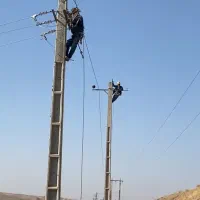 همکار در دفتر شرکت