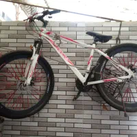 دوچرخه|دوچرخه، اسکیت، اسکوتر|ایوانکی, |دیوار