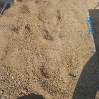 کود|خدمات باغبانی و درختکاری|اهر, |دیوار