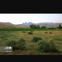 یونجه خشک انباری
