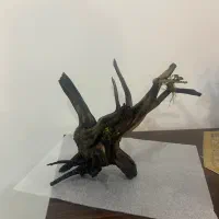 اکواریوم شرکتی نو اکبند با تجهیزات سالم|ماهی|اسلامشهر, مطهری|دیوار