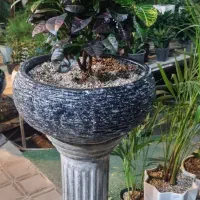 واگذاری گلخانه فعال با تجهیزات کامل بدون زمین