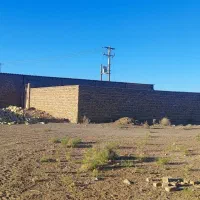 فروش دامداری(بره پرواری) با سند شش دانگ