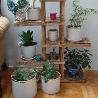 گل با استند چوبی