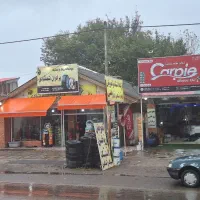 لاستیک فروشی شمشادی به همکار نیاز دارد|استخدام صنعتی، فنی، مهندسی|لولمان, |دیوار