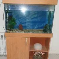 آکواریوم ماهی