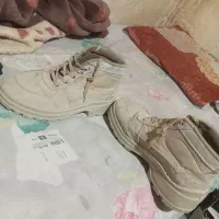 کفش کار مهندسی اصل