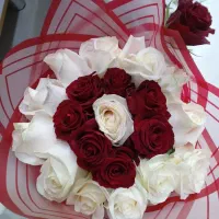 رز۱۱|گل و گیاه طبیعی|تبریز, |دیوار